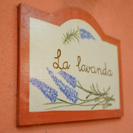 Homeforguest Cosy Rural Flat La Lavanda Surrounded By Nature Tacoronte Exterior photo
